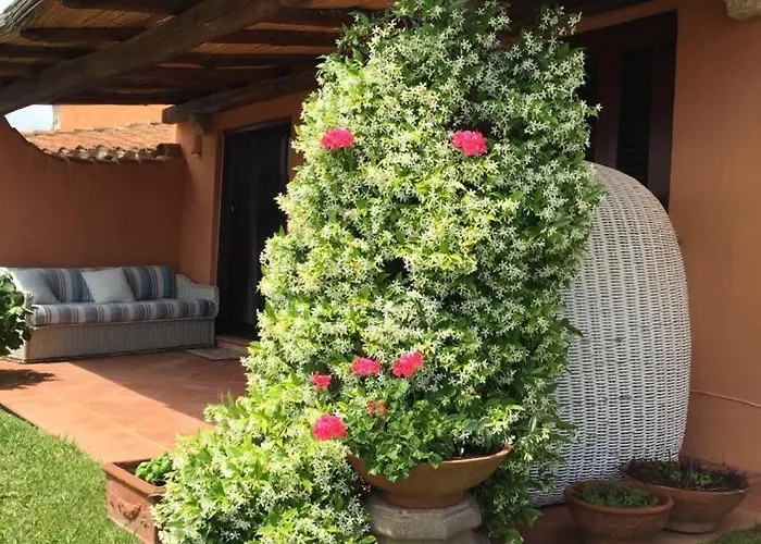 Ferienhaus Dream In Cala Granu